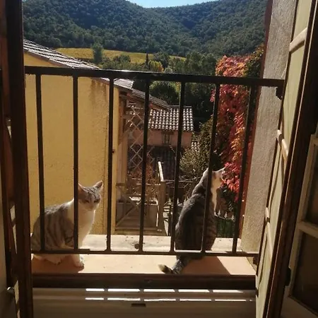 Проживание в семье Campagne Йер