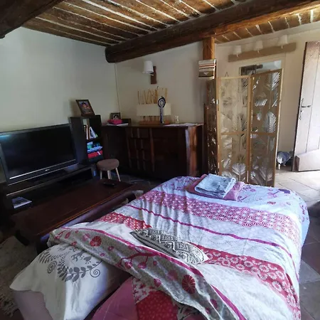 Проживание в семье Campagne *