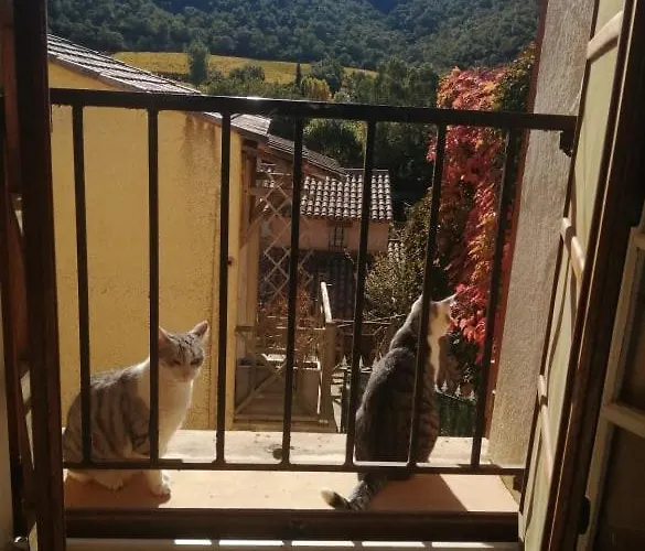 Alloggio in famiglia Campagne Hyères