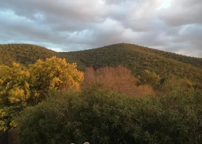 Campagne Alloggio in famiglia *